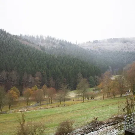 Tal Blick 3-zimmer Nordenau/ Winterberg アパート